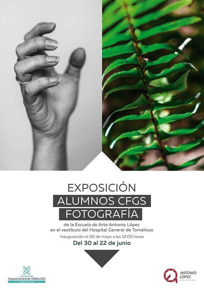 exposicion cfgs