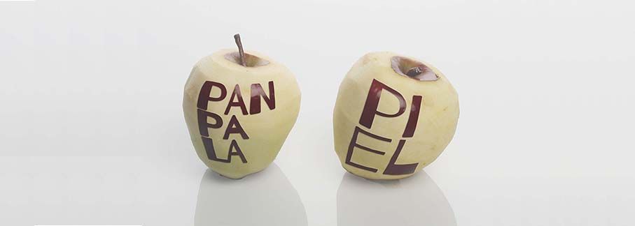 portadaPANPALAPIEL 1