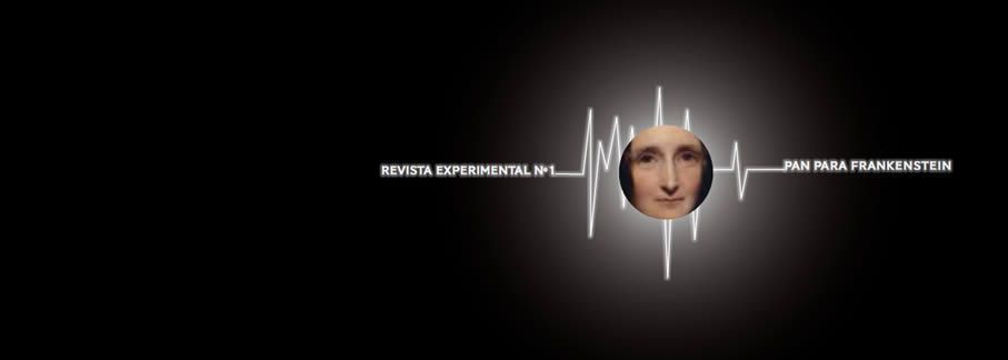 revista experimental1