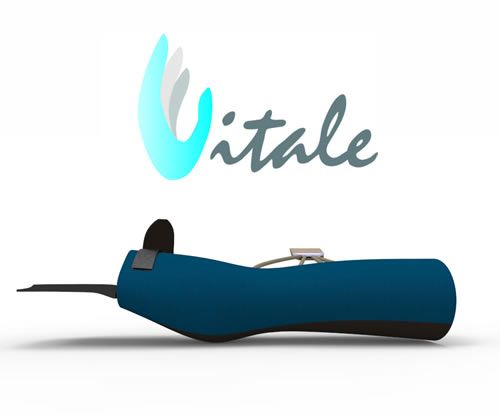 Ana Alcaide - Vitali