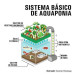 ECLOCY. Aquaponic System
