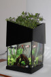 ECLOCY. Aquaponic System