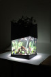 ECLOCY. Aquaponic System