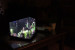 ECLOCY. Aquaponic System