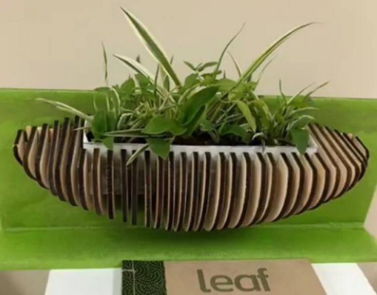 PRESENTACI&Oacute;N DEL PROYECTO LEAF