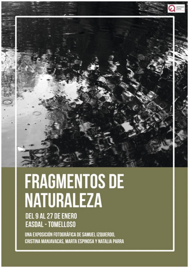 Fragmentos de Naturaleza