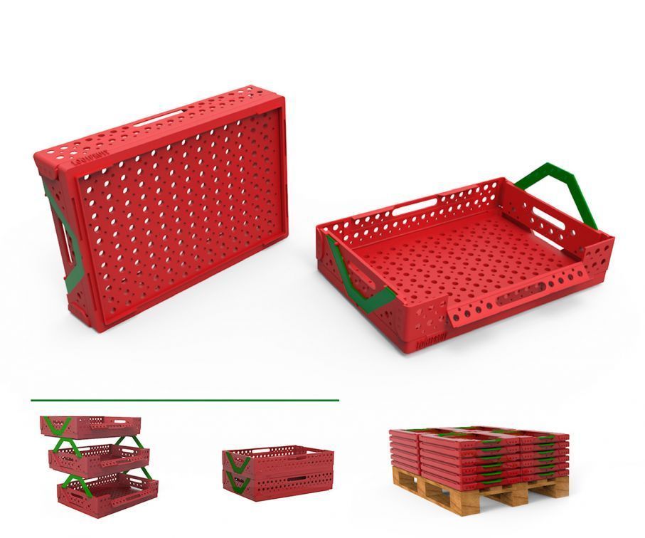 PREMIO LIDERPACK AL MEJOR PACKAGING DE DISE&Ntilde;O JOVEN