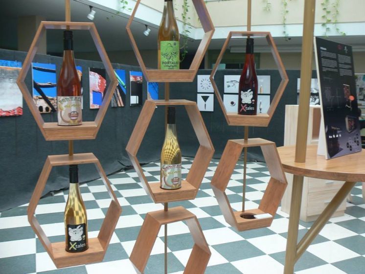 PREMIO EXTRAORDINARIO DE ENSE&Ntilde;ANZAS ART&Iacute;STICAS PROFESIONALES DE CASTILLA-LA MANCHA 2016-2017