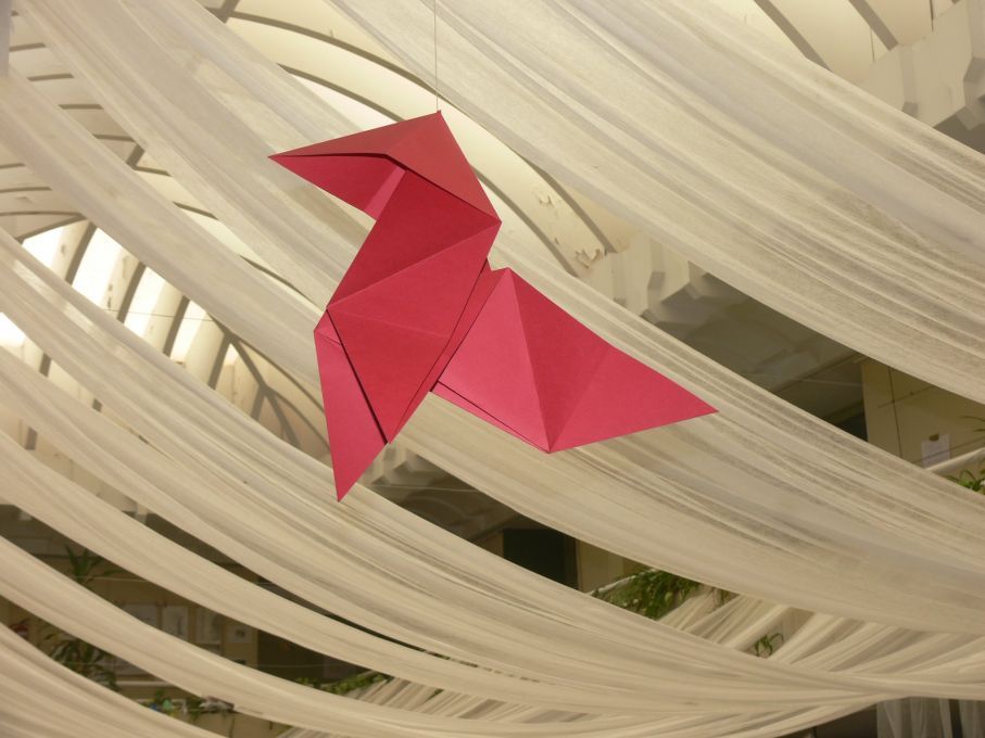 Y T&Uacute;, &iquest;CON QU&Eacute; VUELAS?